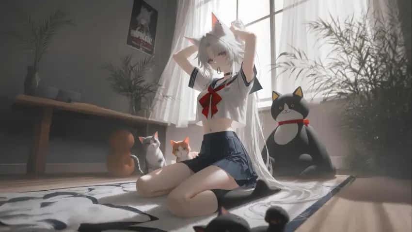 DLsite中文官网背景